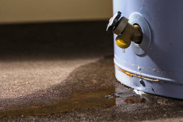 Best 24/7 water damage repair  in Copiague, NY