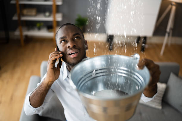 Best Water damage cleanup near me  in Copiague, NY