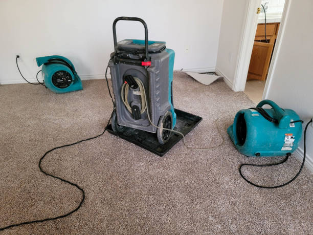 Best Fire Damage Restoration  in Copiague, NY