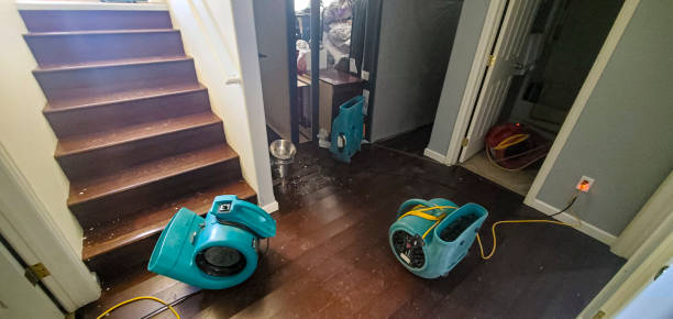 Best Water damage contractors near me  in Copiague, NY