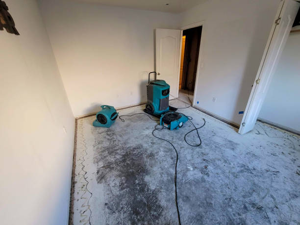 Best Professional water damage repair  in Copiague, NY