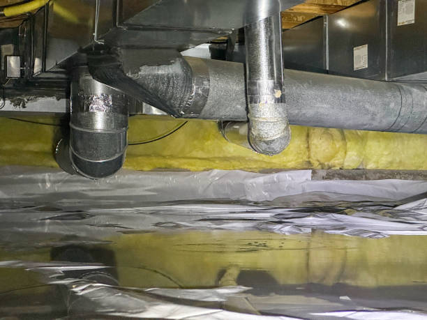 Best Water damage restoration mold remediation  in Copiague, NY