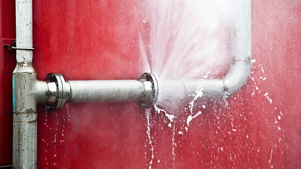 Best Ceiling water damage repair  in Copiague, NY